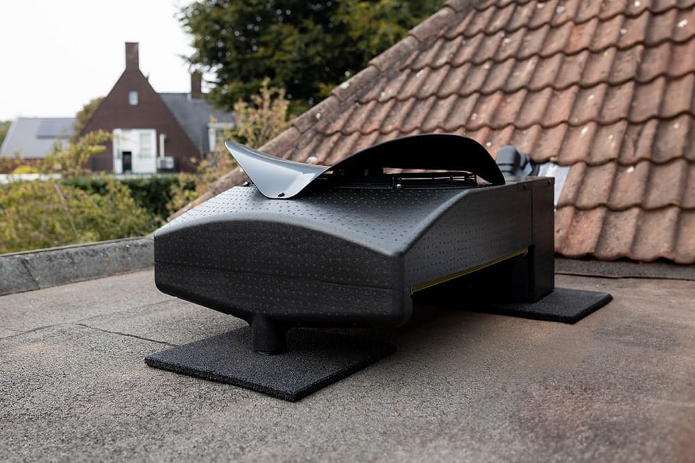 Weheat Blackbird