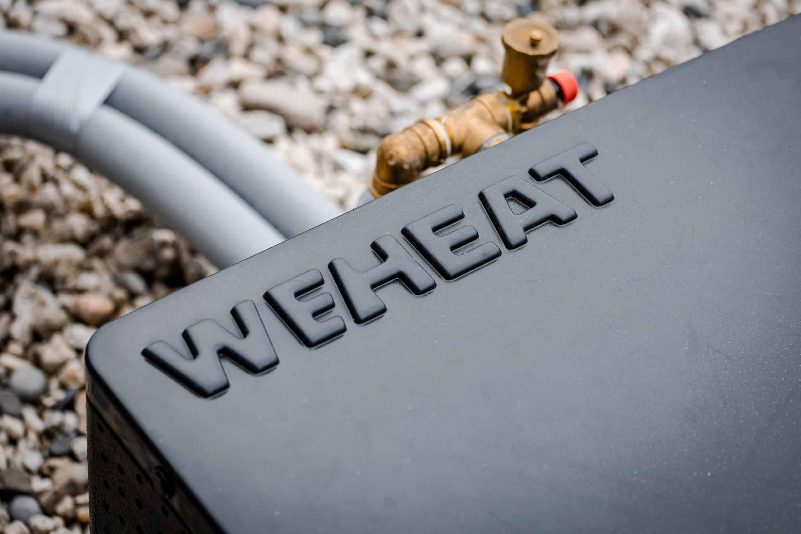 Weheat Blackbird